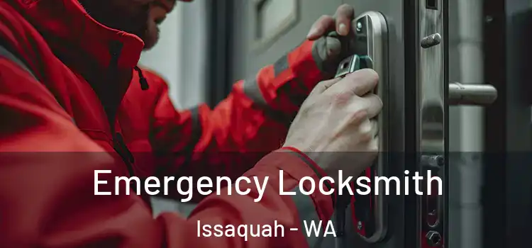 Emergency Locksmith Issaquah - WA