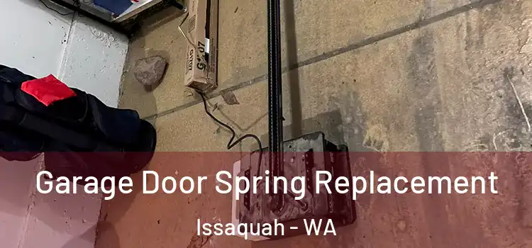  Garage Door Spring Replacement Issaquah - WA