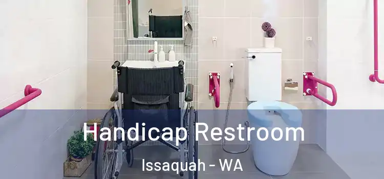 Handicap Restroom Issaquah - WA