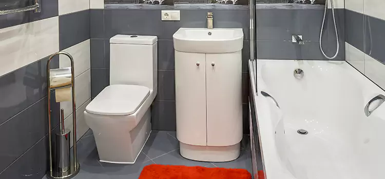 Hansgrohe Shaving Mirror Issaquah