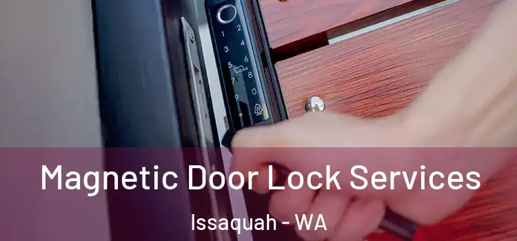 Magnetic Door Lock Services Issaquah - WA