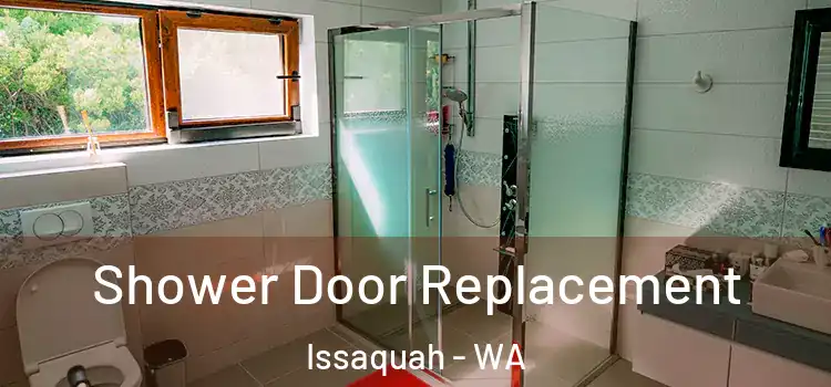 Shower Door Replacement Issaquah - WA