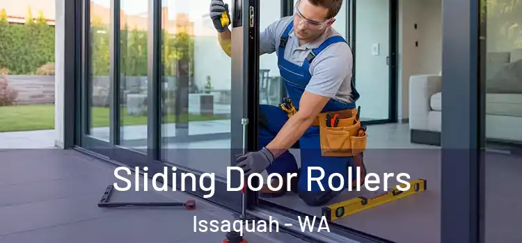 Sliding Door Rollers Issaquah - WA